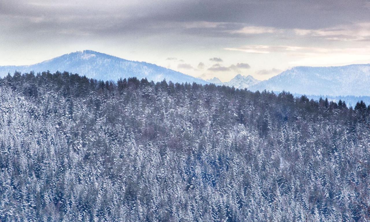 Sloneczny Chelm - Apartamenty W Gorach, Prywatna Sauna Jacuzzi Balia W Cenie, Spa, Grill, Stok Narciarski Myslenice, Sciezki Rowerowe, Rzeka Raba, Widok Na Tatry Kültér fotó