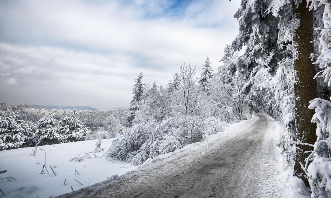 Sloneczny Chelm - Apartamenty W Gorach, Prywatna Sauna Jacuzzi Balia W Cenie, Spa, Grill, Stok Narciarski Myslenice, Sciezki Rowerowe, Rzeka Raba, Widok Na Tatry Kültér fotó